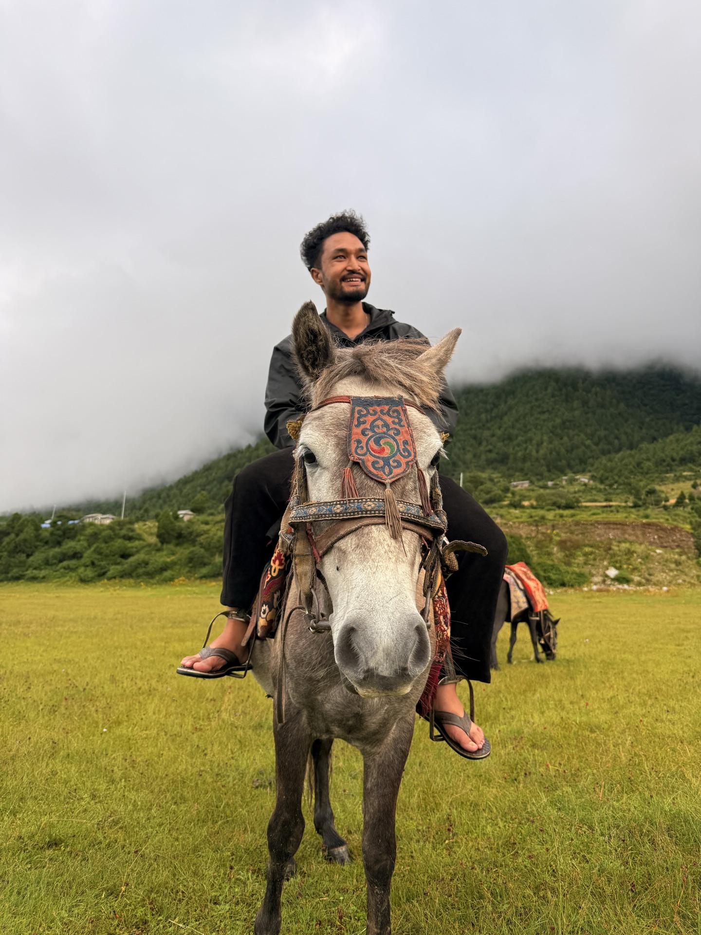 A friend sitting easy on a grey horse in the meadow, entirely composed