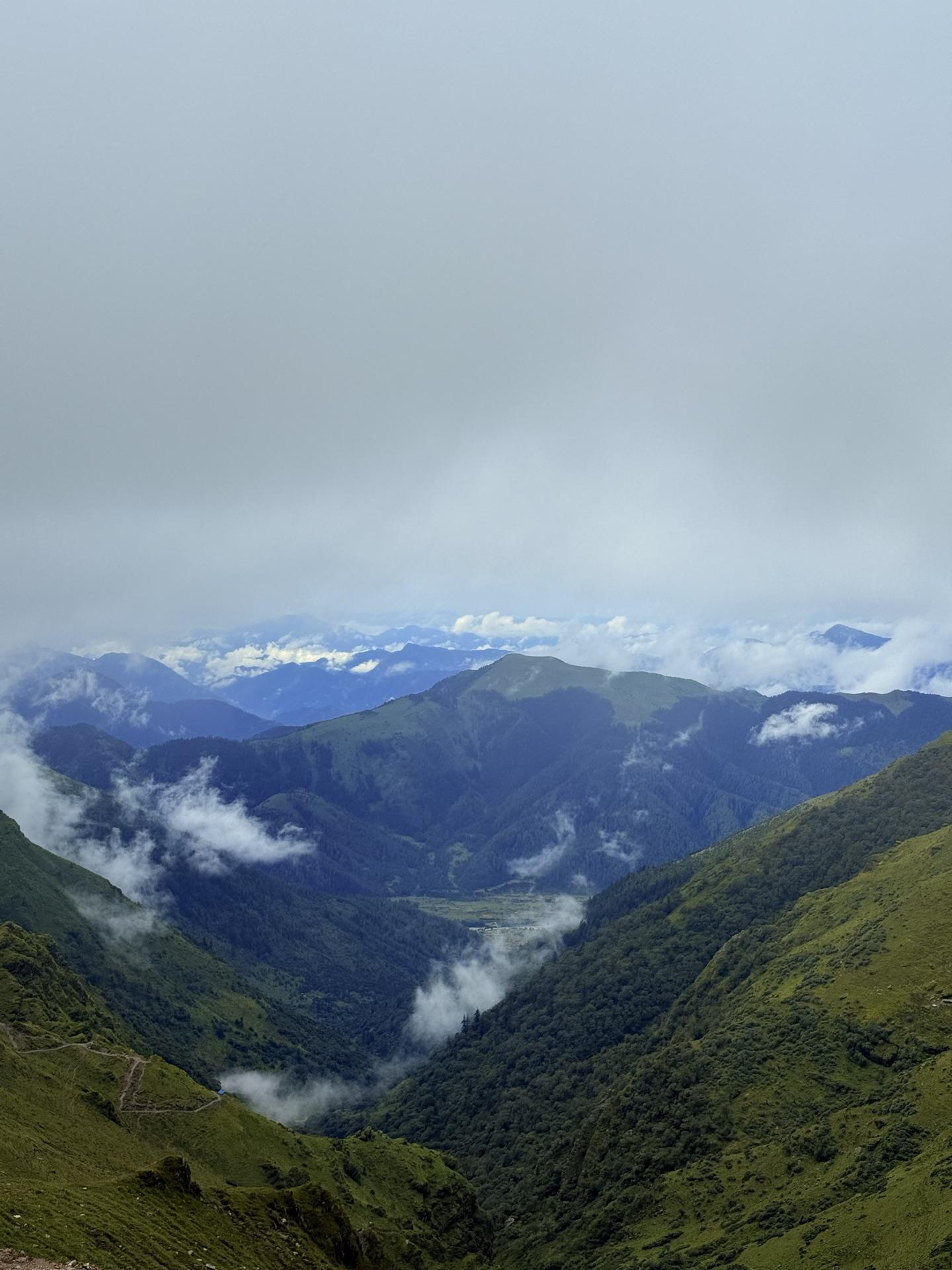 The forested gorge dropping away below, distant snow patches under cloud