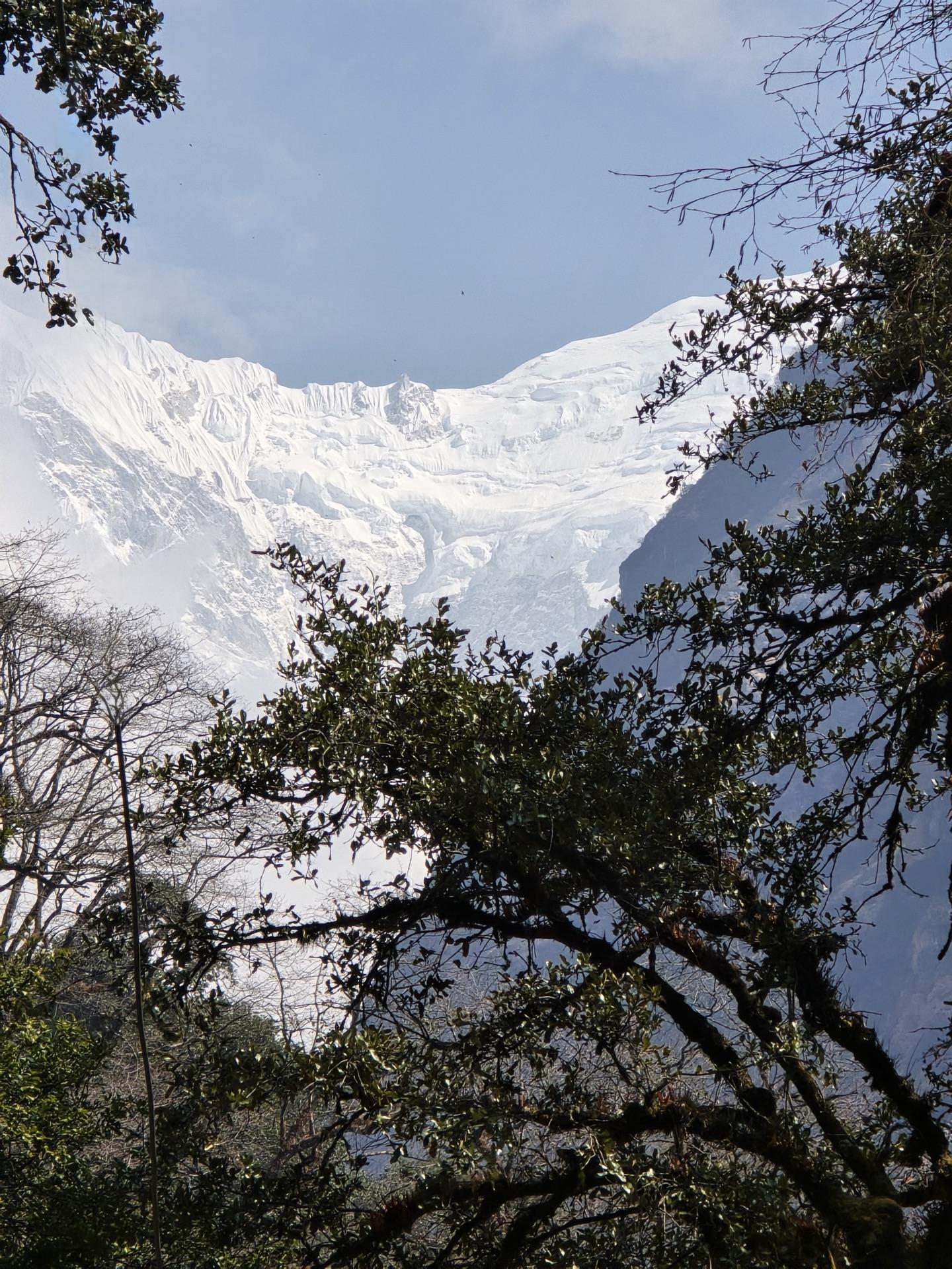 A snow peak appearing through bare branches high above the gorge