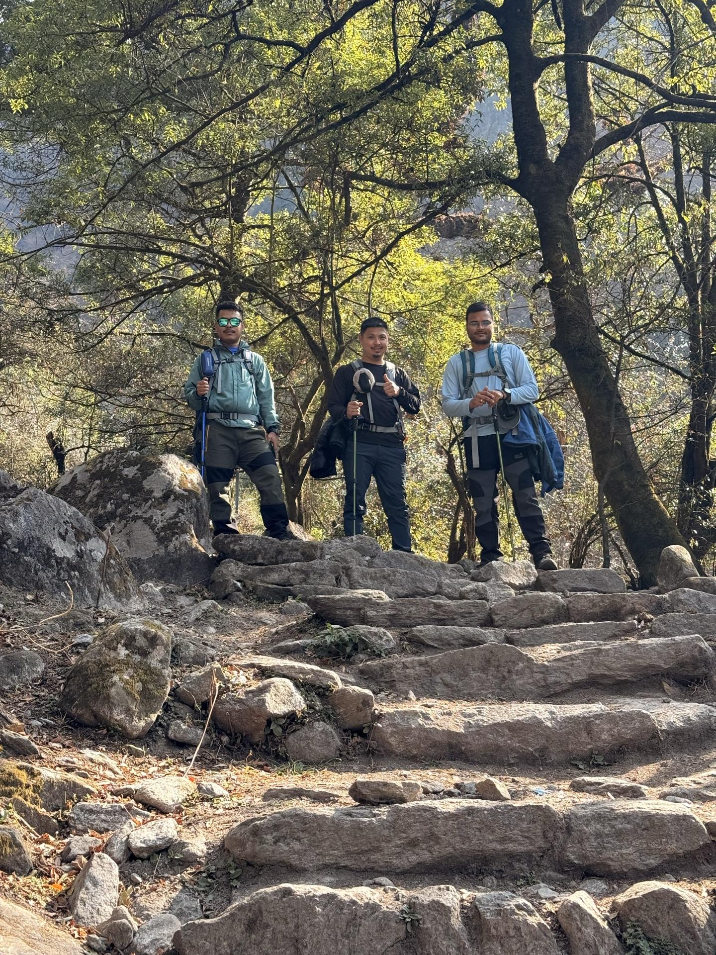 The crew climbing stone stairs through open forest