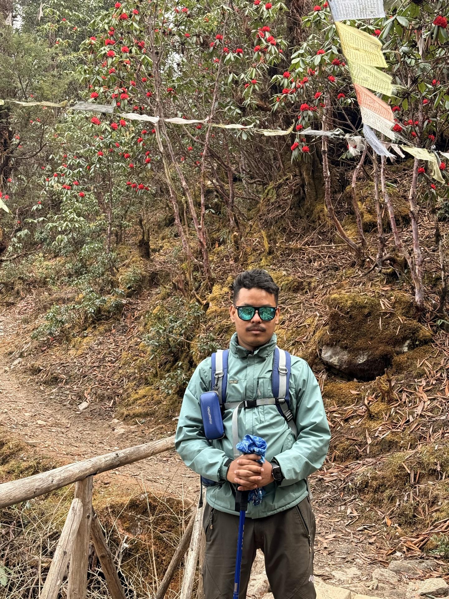 A friend in a green jacket at a wooden bridge rail in rhododendron country