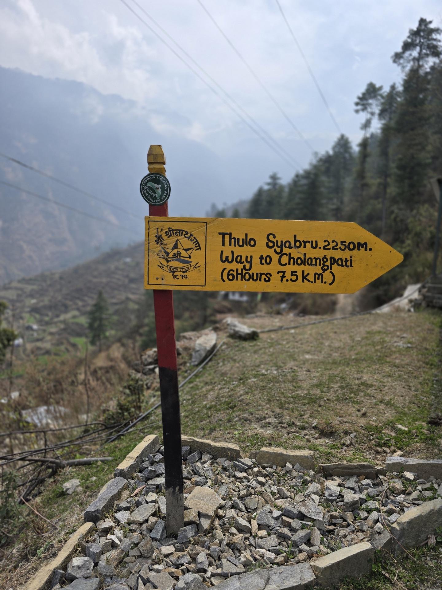The yellow trail sign at Thulo Syabru pointing toward Cholangpati