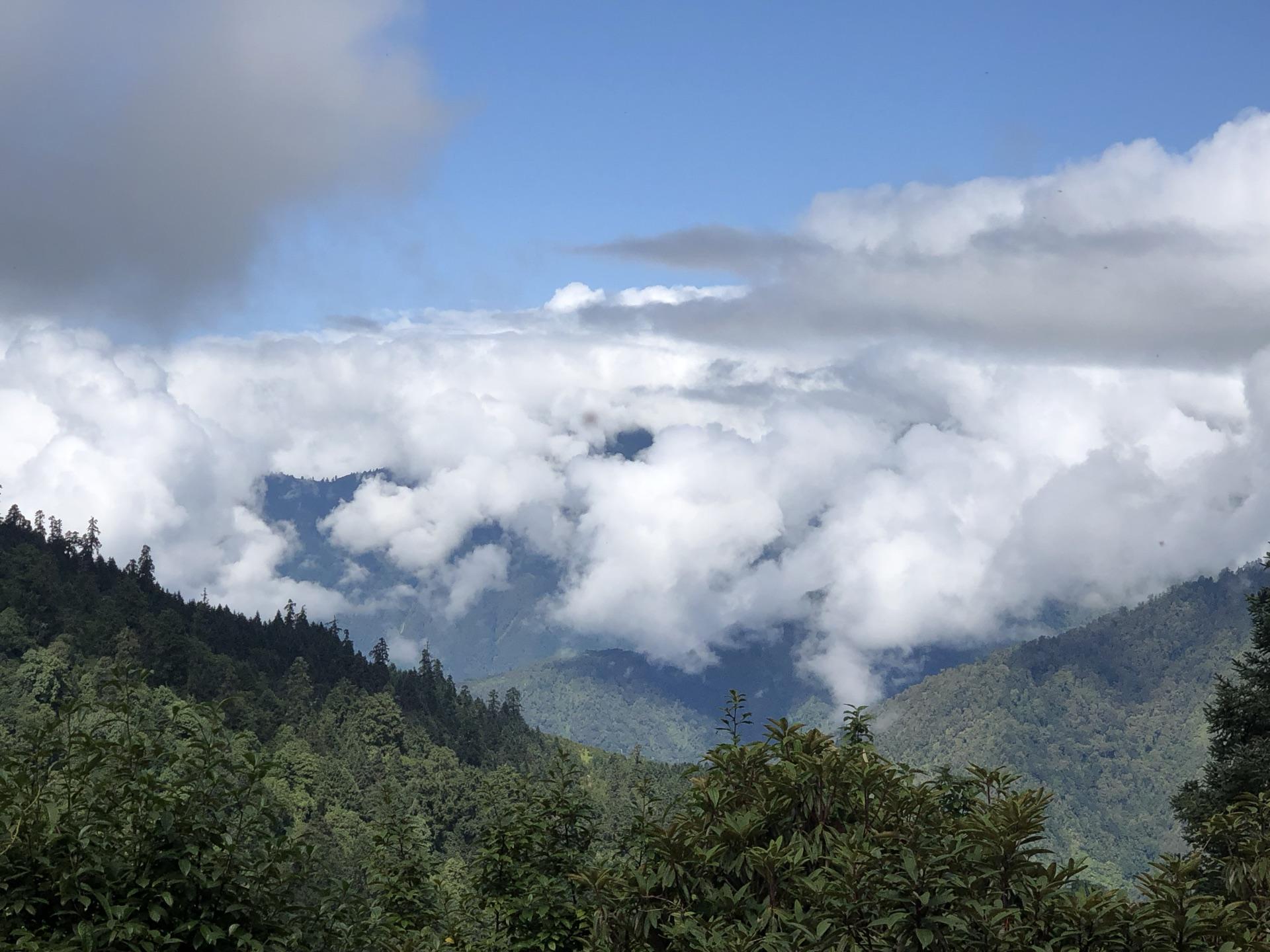Forested ridges rising above a valley filled with white cloud