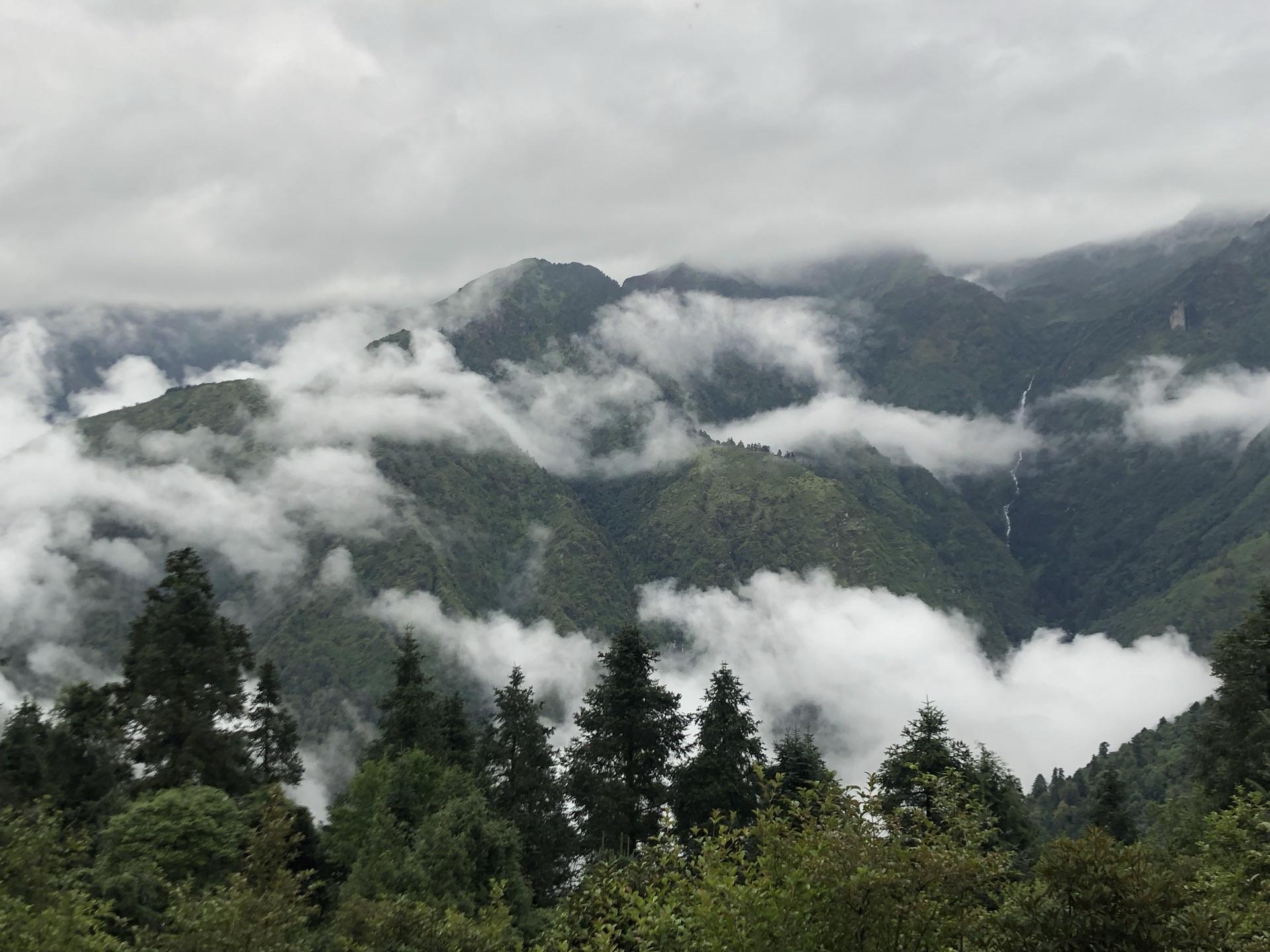 Cloud pouring over the forested ridge, filling the valley below